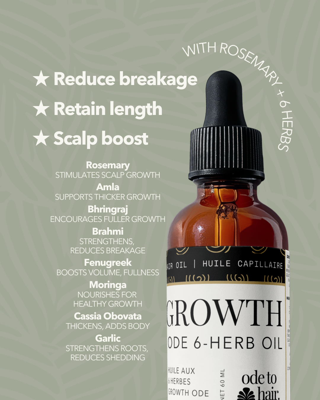 Ayurvedic hair growth oil with amla, bhringraj, fenugreek, moringa, brahmi, and cassia, infused with rosemary oil to strengthen roots, nourish the scalp, and support healthy, longer, stronger hair growth